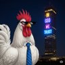 Studio Rooster -NEO- 的头像