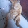 RaseL profil fotoğrafı