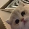 mmmmmm.mmpm profil fotoğrafı