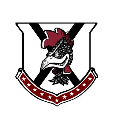 OldRowGamecocks's profile picture