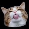 Profilbild von manis3gar