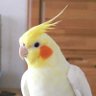 NaoT@Tokyo's profile picture