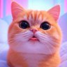 Profilbild von CATNESS