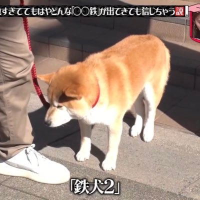 もりもり山's profile picture