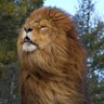 صقر قريش profil fotoğrafı