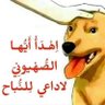 نايك السنة نايك بني امية 的头像