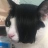 jururu girl; 5SOS 18/09 profil fotoğrafı