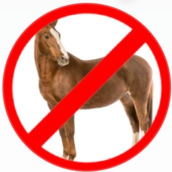 HorseHater69's profile picture
