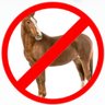 Фото профиля Horse Hater