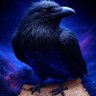 SH profil fotoğrafı