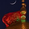 Фото профиля Raza Baltee
