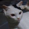 Profilbild von ink_yarn