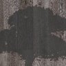 CinderOak's profile picture