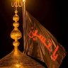 الصقر الجارح 的头像