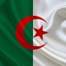 🇩🇿 رجل صريح 🇩🇿's profile picture