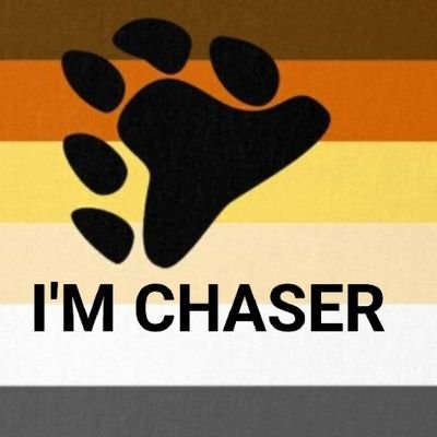 latinchasertop's profile picture