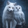 keiko profil fotoÄrafı