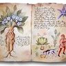Фото профиля Александар Вељић