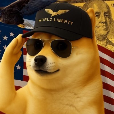 DegeCoin's profile picture