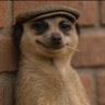 Yasir Arafat's profile picture