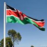 JOEL mteule's profile picture