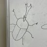 とりカブト profil fotoğrafı