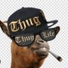 Mr. Crypto Degen profil fotoğrafı
