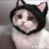 Profilbild von ・