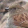 だっかさん profil fotoğrafı