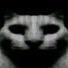Profilbild von Le Chat D'Oban