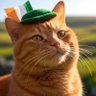 FreeXIrish profil fotoğrafı
