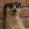 โL4R3's profile picture