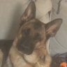 KaiBella profil fotoğrafı