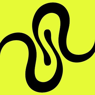 squid's profile picture