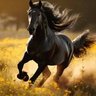 ะคะพัะพ ะฟัะพัะธะปั SAn stallion..๐ฟ๐ฆ