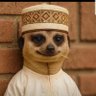 Profilbild von WEBSTER๐