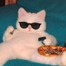meow 的头像