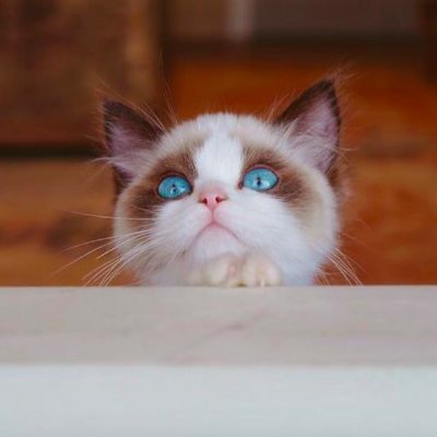 Lyfisfolklore's profile picture