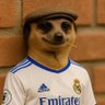 stayR's profile picture