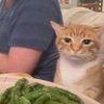 eesh's profile picture