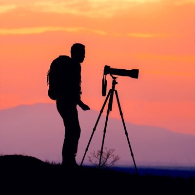 mbehzadpix's profile picture