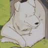 Profilbild von TomoyoTitan