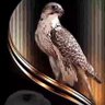 سكون البراري's profile picture