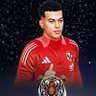 الاهلي حالة profil fotoğrafı