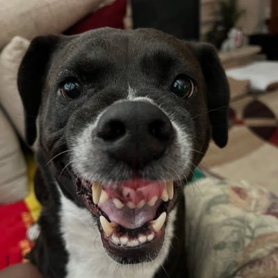 fastfergie16's profile picture