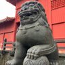 単なるポッと出 的头像