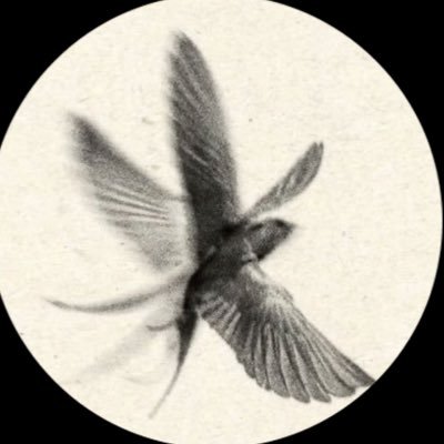 رُبما ميرو.'s profile picture