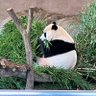 ベッティー's profile picture