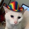 Profilbild von Mr.Rogers Gayborhood