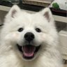 ddefff ♡ 的头像